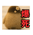 もふぺんっ！（個別スタンプ：23）