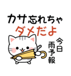 長文＆丁寧♪アメちゃんの梅雨と初夏（個別スタンプ：10）