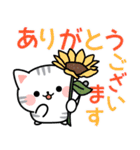 長文＆丁寧♪アメちゃんの梅雨と初夏（個別スタンプ：13）