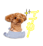 柳瀬家のメイちゃん（個別スタンプ：3）