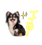 森山家のあもーるちゃん（個別スタンプ：3）