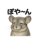 リアルなチンチラの日常感情日記ライン（個別スタンプ：2）