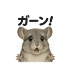 リアルなチンチラの日常感情日記ライン（個別スタンプ：4）