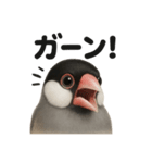 リアルな文鳥の日常感情日記ラインスタンプ（個別スタンプ：3）