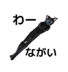 日常で使える！ 黒猫あちちゃん猫スタンプ（個別スタンプ：21）