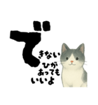 【そっと応援】白黒ねこのゆることば（個別スタンプ：11）