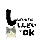 【そっと応援】白黒ねこのゆることば（個別スタンプ：13）
