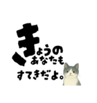 【そっと応援】白黒ねこのゆることば（個別スタンプ：14）