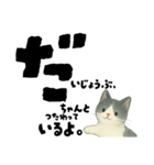 【そっと応援】白黒ねこのゆることば（個別スタンプ：16）
