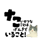 【そっと応援】白黒ねこのゆることば（個別スタンプ：21）