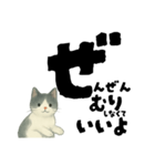 【そっと応援】白黒ねこのゆることば（個別スタンプ：23）