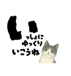 【そっと応援】白黒ねこのゆることば（個別スタンプ：24）
