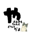 【そっと応援】白黒ねこのゆることば（個別スタンプ：25）