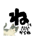 【そっと応援】白黒ねこのゆることば（個別スタンプ：26）