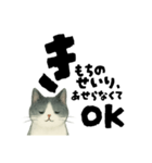 【そっと応援】白黒ねこのゆることば（個別スタンプ：35）