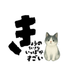 【そっと応援】白黒ねこのゆることば（個別スタンプ：36）