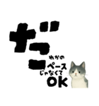 【そっと応援】白黒ねこのゆることば（個別スタンプ：38）