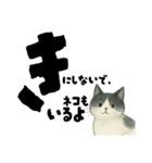【そっと応援】白黒ねこのゆることば（個別スタンプ：40）