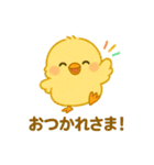 ぴよちゃん♪（個別スタンプ：1）