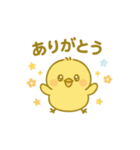 ぴよちゃん♪（個別スタンプ：13）