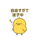 ぴよちゃん♪（個別スタンプ：36）