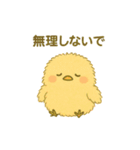 ぴよちゃん♪（個別スタンプ：40）