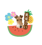 ワイヤーフォックステリアの夏思い出love①（個別スタンプ：17）