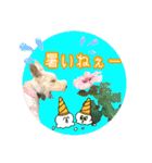 ワイヤーフォックステリアの夏思い出love①（個別スタンプ：26）