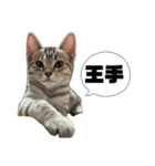 ルルの独り言2（個別スタンプ：11）