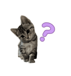 ルルの独り言2（個別スタンプ：21）
