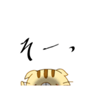 薄毛猫のこもんくん〜リアクション編（個別スタンプ：2）