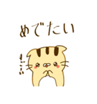 薄毛猫のこもんくん〜リアクション編（個別スタンプ：6）