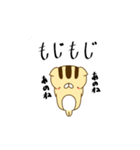 薄毛猫のこもんくん〜リアクション編（個別スタンプ：7）