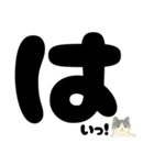 【はっきり文字】ひょっこり白黒ネコことば（個別スタンプ：1）