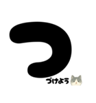 【はっきり文字】ひょっこり白黒ネコことば（個別スタンプ：23）