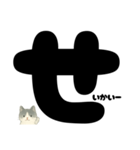 【はっきり文字】ひょっこり白黒ネコことば（個別スタンプ：33）