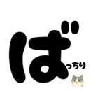 【はっきり文字】ひょっこり白黒ネコことば（個別スタンプ：34）