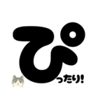 【はっきり文字】ひょっこり白黒ネコことば（個別スタンプ：40）