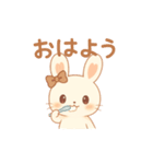 ぴょんこ先輩のやさしめスタンプ（個別スタンプ：1）