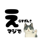 【ギャル式】白黒にゃんの元気パワー☆（個別スタンプ：4）