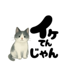 【ギャル式】白黒にゃんの元気パワー☆（個別スタンプ：7）