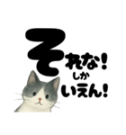 【ギャル式】白黒にゃんの元気パワー☆（個別スタンプ：13）
