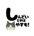 【ギャル式】白黒にゃんの元気パワー☆（個別スタンプ：16）