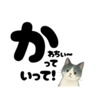 【ギャル式】白黒にゃんの元気パワー☆（個別スタンプ：20）