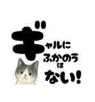 【ギャル式】白黒にゃんの元気パワー☆（個別スタンプ：24）