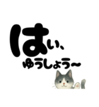 【ギャル式】白黒にゃんの元気パワー☆（個別スタンプ：27）