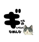【ギャル式】白黒にゃんの元気パワー☆（個別スタンプ：28）