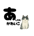 【ギャル式】白黒にゃんの元気パワー☆（個別スタンプ：29）