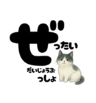 【ギャル式】白黒にゃんの元気パワー☆（個別スタンプ：33）