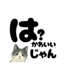 【ギャル式】白黒にゃんの元気パワー☆（個別スタンプ：34）